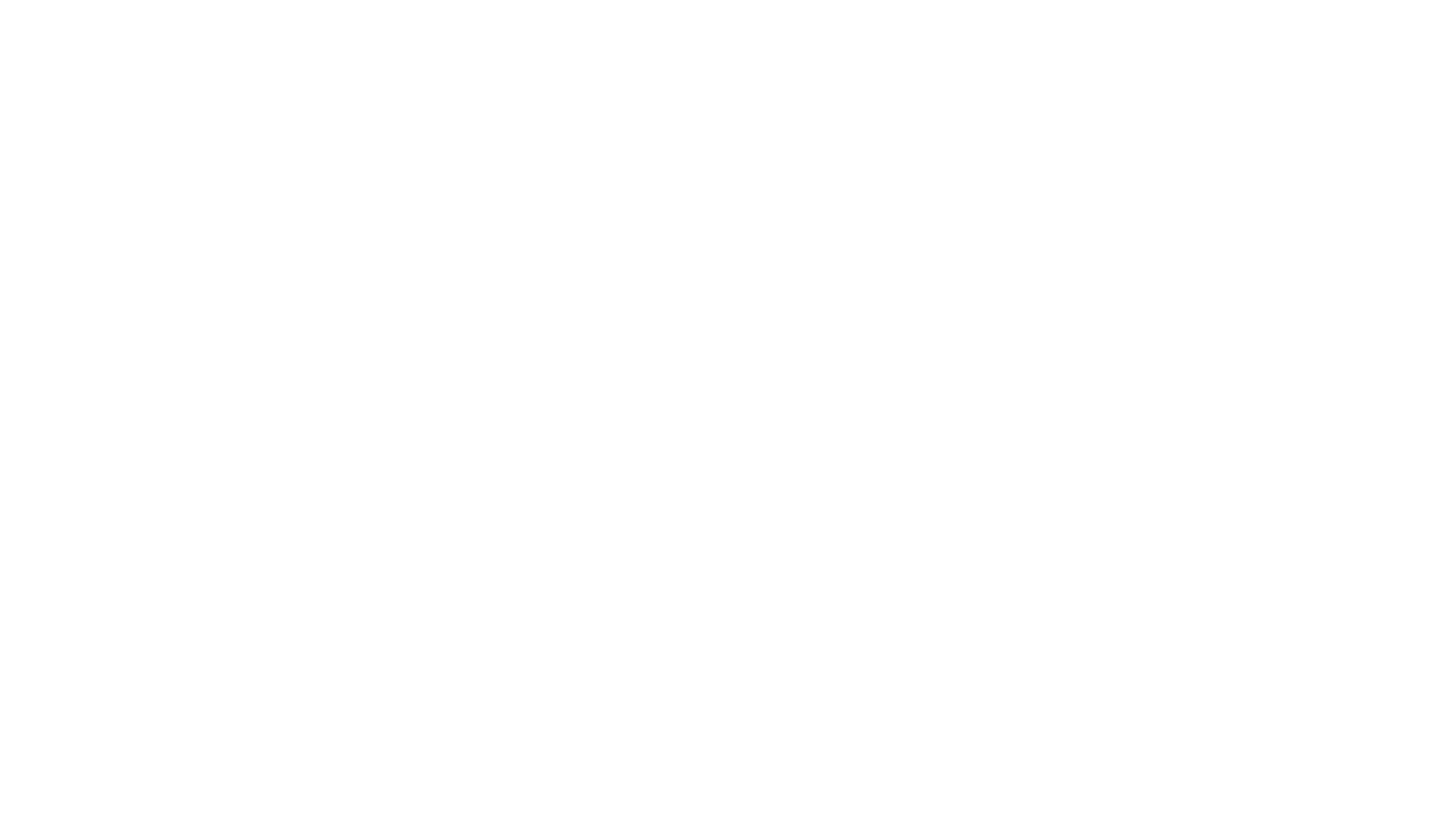 Logo-FF-Solutions-sem-slogan