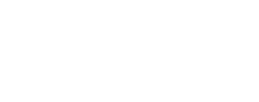 logo-go4iit